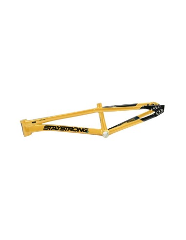 Cadre Stay Strong For Life V5.1 - Gold/Black