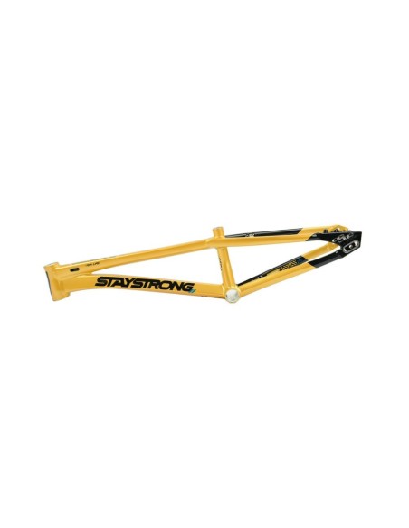 Stay Strong For Life Frame V5.1 - Gold/Black