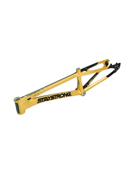 Cadre Stay Strong For Life V5.1 - Gold/Black