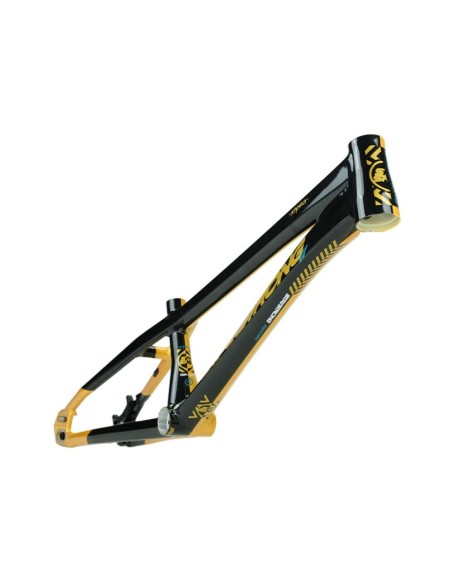 Stay Strong For Life Frame V5.1 - Gold/Black