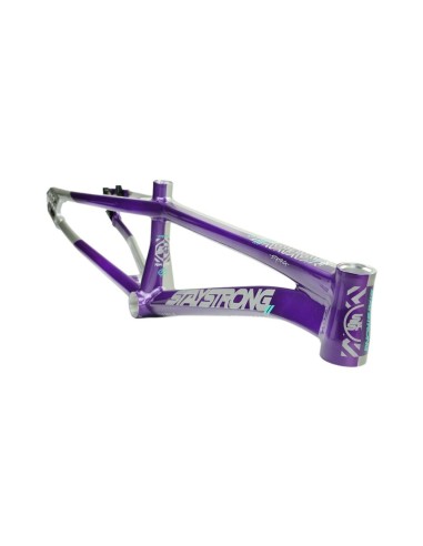 Stay Strong For Life V5.1 Frame - Purple/Silver