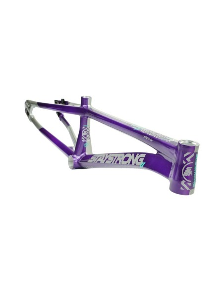 Cadre Stay Strong For Life V5.1 - Purple/Silver 2