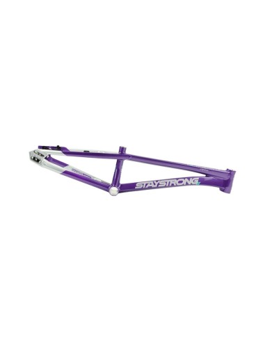 Stay Strong For Life V5.1 Frame - Purple/Silver