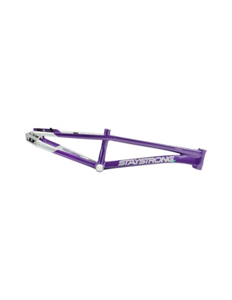 Cadre Stay Strong For Life V5.1 - Purple/Silver