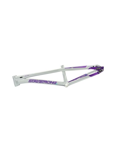 Cadre Stay Strong For Life V5.1 - Purple/Silver