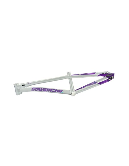 Cadre Stay Strong For Life V5.1 - Purple/Silver