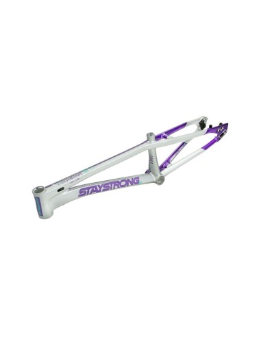 Cadre Stay Strong For Life V5.1 - Purple/Silver