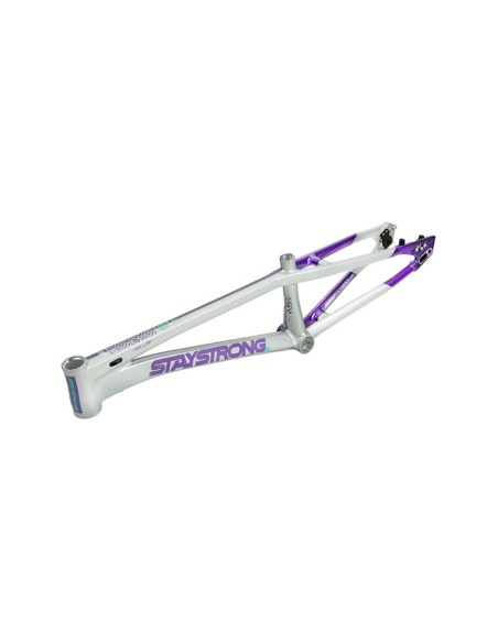 Cadre Stay Strong For Life V5.1 - Purple/Silver