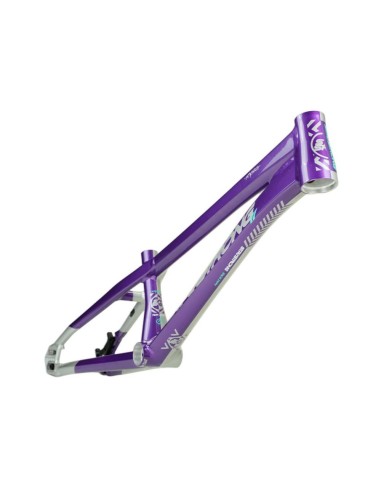 Cadre Stay Strong For Life V5.1 - Purple/Silver