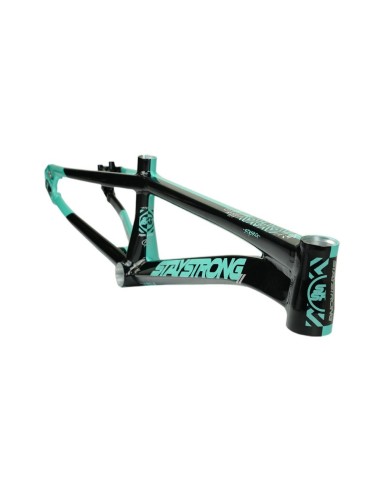 Stay Strong For Life Frame V5.1 - Tiffany/Black