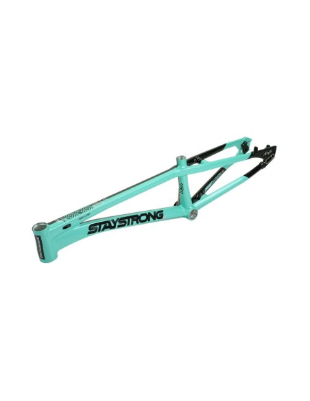 Stay Strong For Life Frame V5.1 - Tiffany/Black