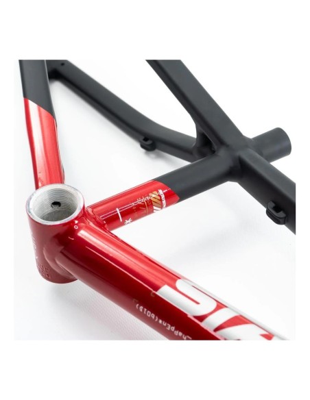 Cadre Stay Strong For Life V5 2025 - Red / Black