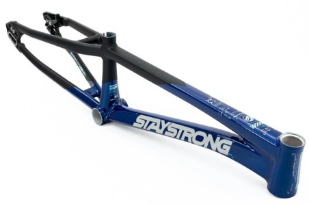 Cadre Stay Strong For Life V5 2025 - Navy / Black