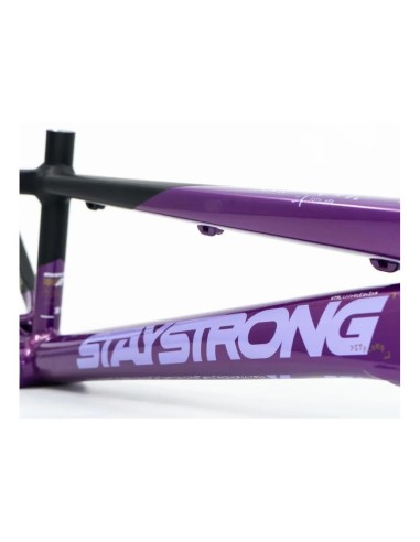 Cadre Stay Strong For Life V5 2025 - Purple / Black