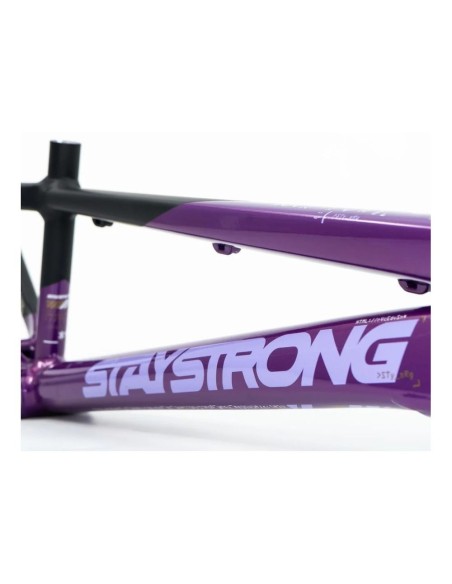 Cadre Stay Strong For Life V5 2025 - Purple / Black