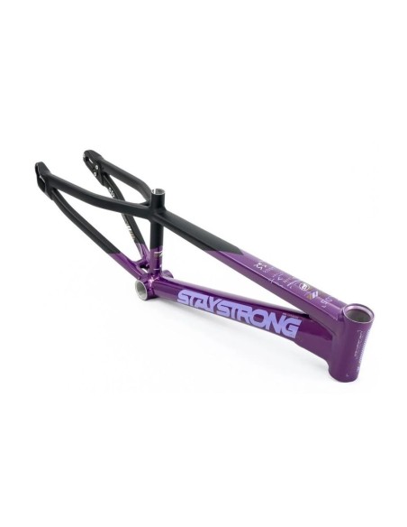 Cadre Stay Strong For Life V5 2025 - Purple / Black