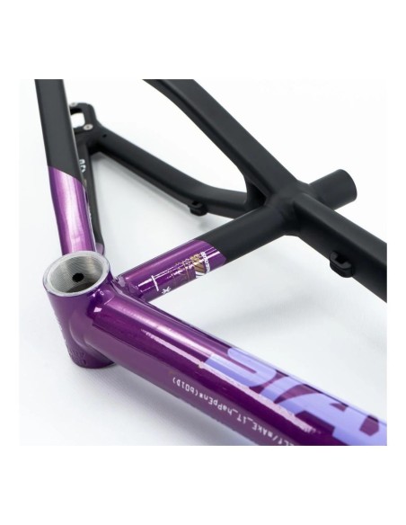 Cadre Stay Strong For Life V5 2025 - Purple / Black