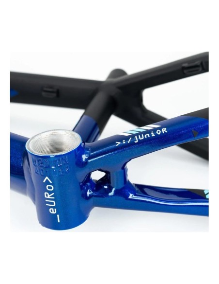 Stay Strong For Life V5 2025 Frame - Navy / Black