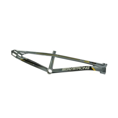 Cadre Stay Strong For Life V6 - Grey/Gold