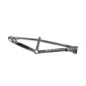 Cadre Stay Strong For Life V6 - Grey/Gold