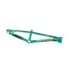 Cadre Stay Strong For Life V6 - Mint/Black
