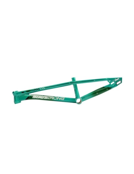 Cadre Stay Strong For Life V6 - Mint/Black 2