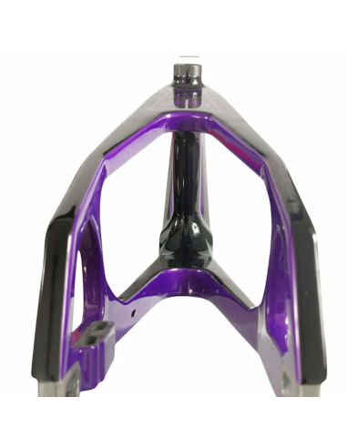 Cadre BMX carbone ICE RAPTOR PURPY RS Violet/ Noir PRO