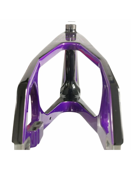 Cadre BMX carbone ICE RAPTOR PURPY RS Violet/ Noir PRO