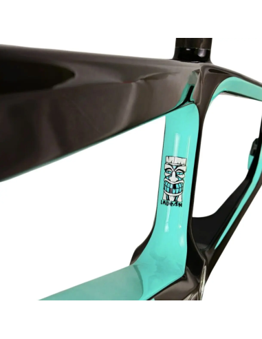 Cadre BMX carbone ICE RAPTOR RS Lagoon / Noir PRO 3 XL