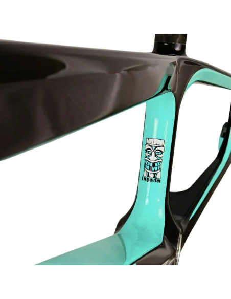 Cadre BMX carbone ICE RAPTOR RS Lagoon / Noir PRO 3 XL