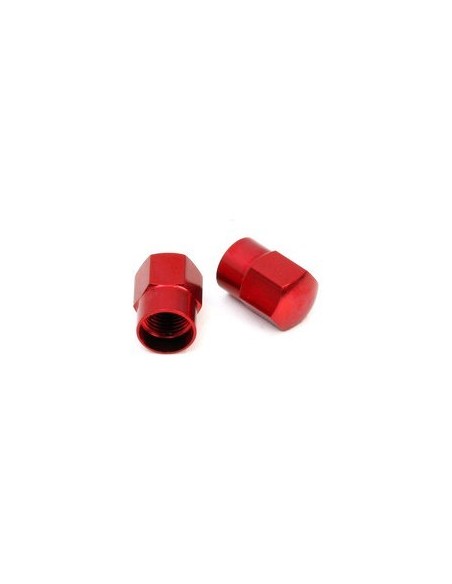 Bouchon grosse valve EXAGONE
