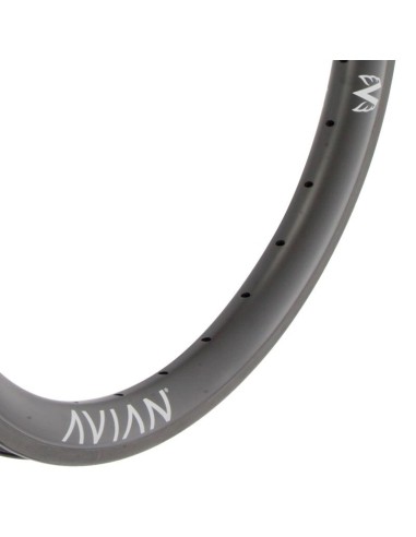 Jante AVIAN venatic 20"x1-3/8" 28H