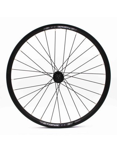 ROUE AVANT INSPYRE NEO EXP