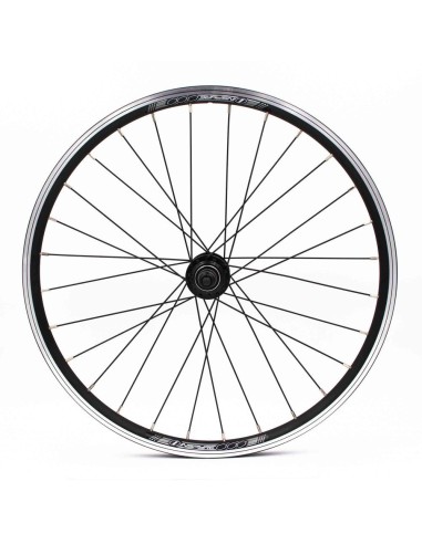 ROUE ARRIÈRE INSPYRE NEO EXP