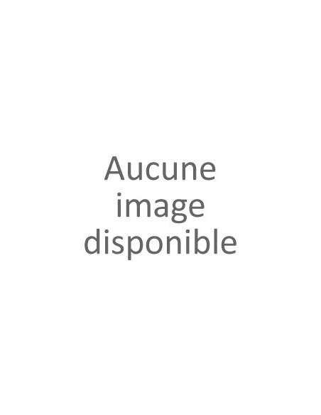Embout guidon alu rouge